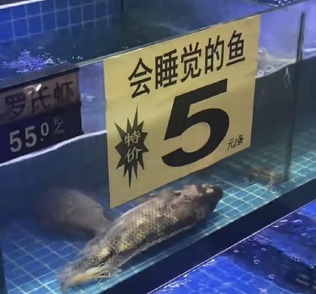 无标题.jpg